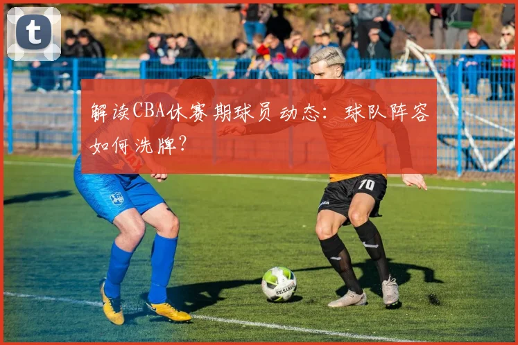 解读CBA休赛期球员动态：球队阵容如何洗牌？