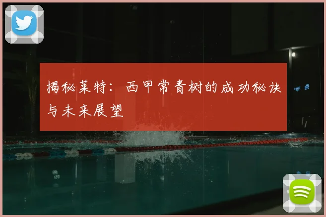 揭秘莱特：西甲常青树的成功秘诀与未来展望